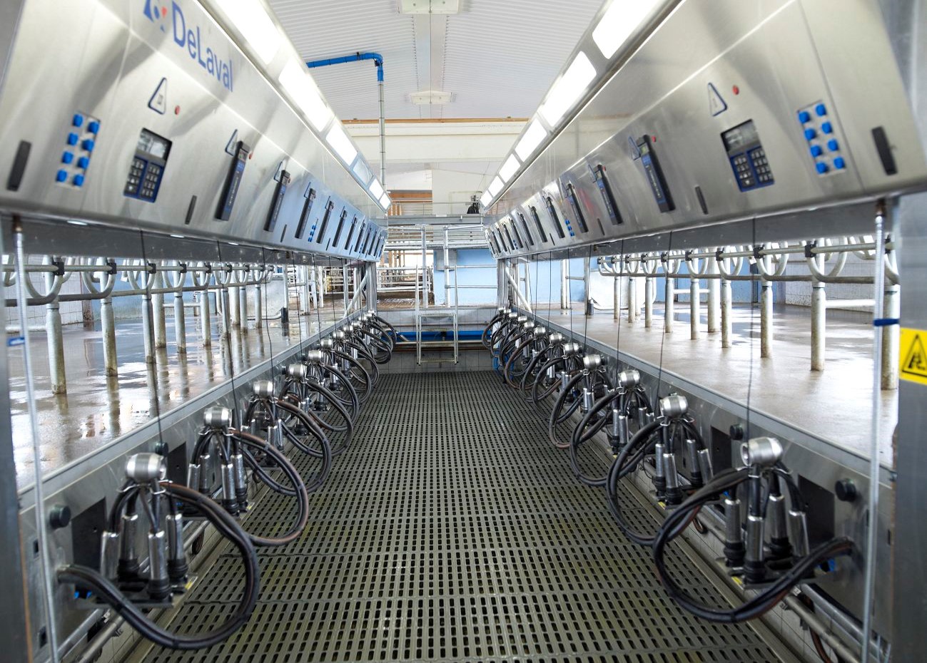 milking parlour