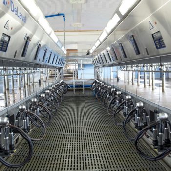 Delaval Milking Parlour