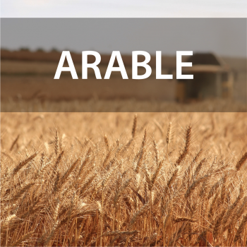 Arable