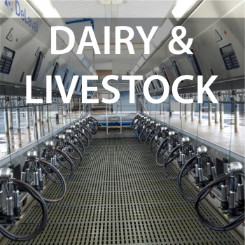 Dairy & livestock