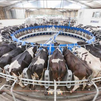 Milking Parlour